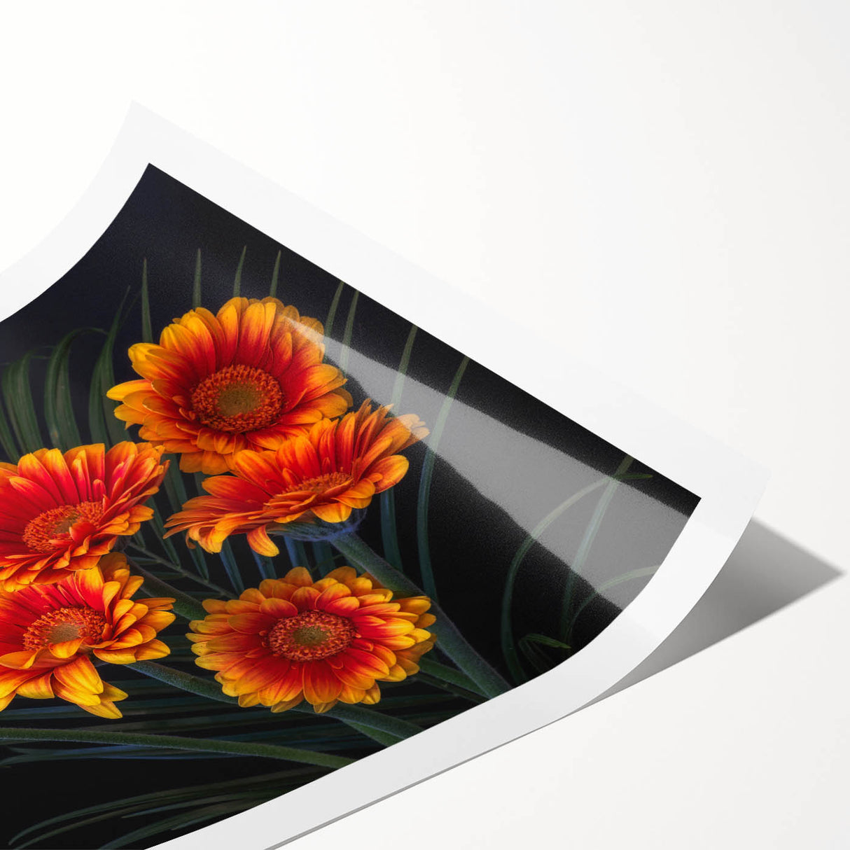 Botanical wall art print showcasing a vibrant daisy design in shades of yellow and white, rolled and ready for display in a stylish home decor setting.