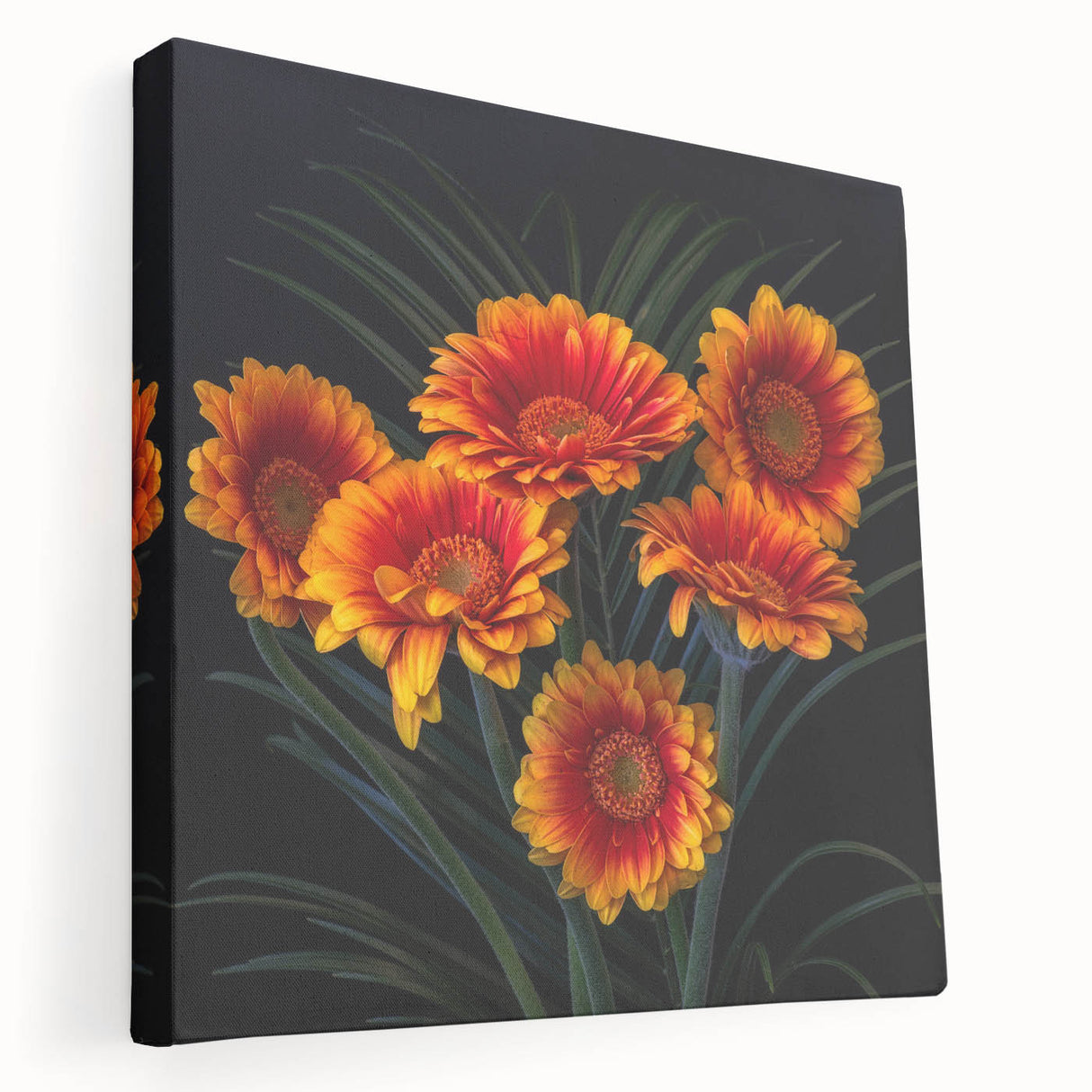 Stretched canvas wall art featuring a botanical daisy design, showcasing vibrant floral details and a modern aesthetic, perfect for home decor enhancement.