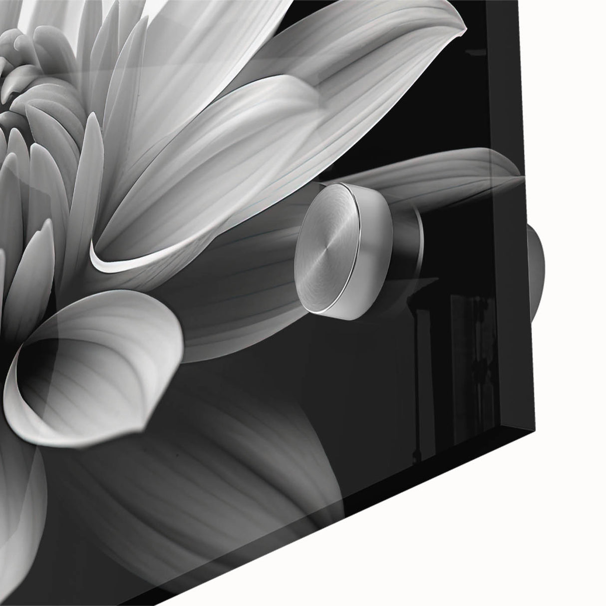 Vibrant close-up of a botanical daisy wall art piece featuring intricate details and vivid colors, designed for modern home decor, ideal for floral enthusiasts.
