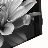 Vibrant close-up of a botanical daisy wall art piece featuring intricate details and vivid colors, designed for modern home decor, ideal for floral enthusiasts.