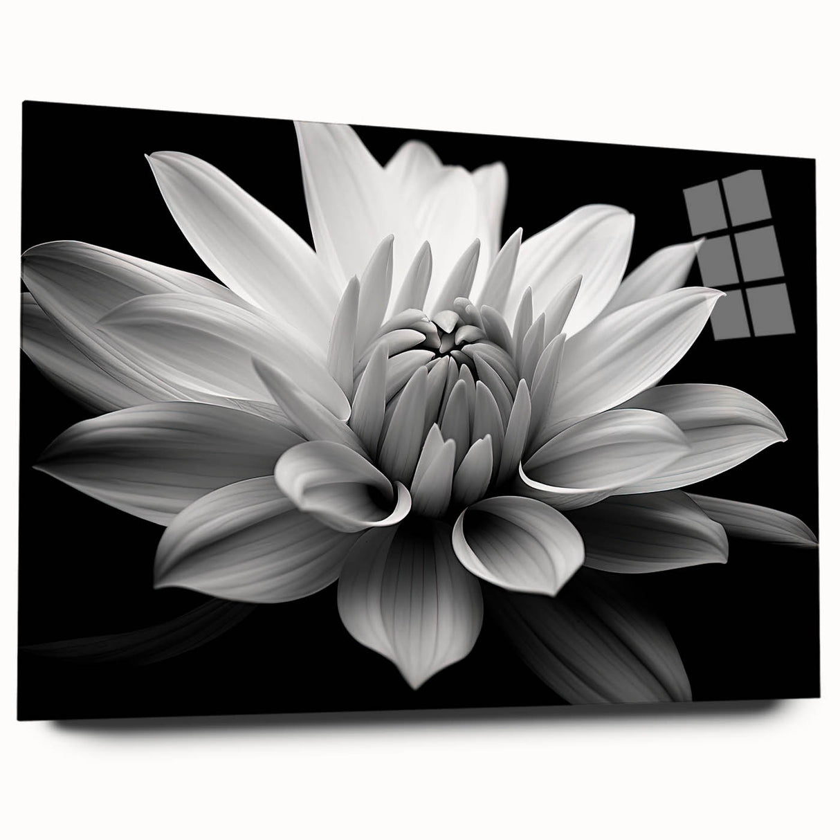 Botanical daisy wall art collection featuring a vibrant acrylic glass design, showcasing delicate flower details and a modern side view, ideal for home decor.