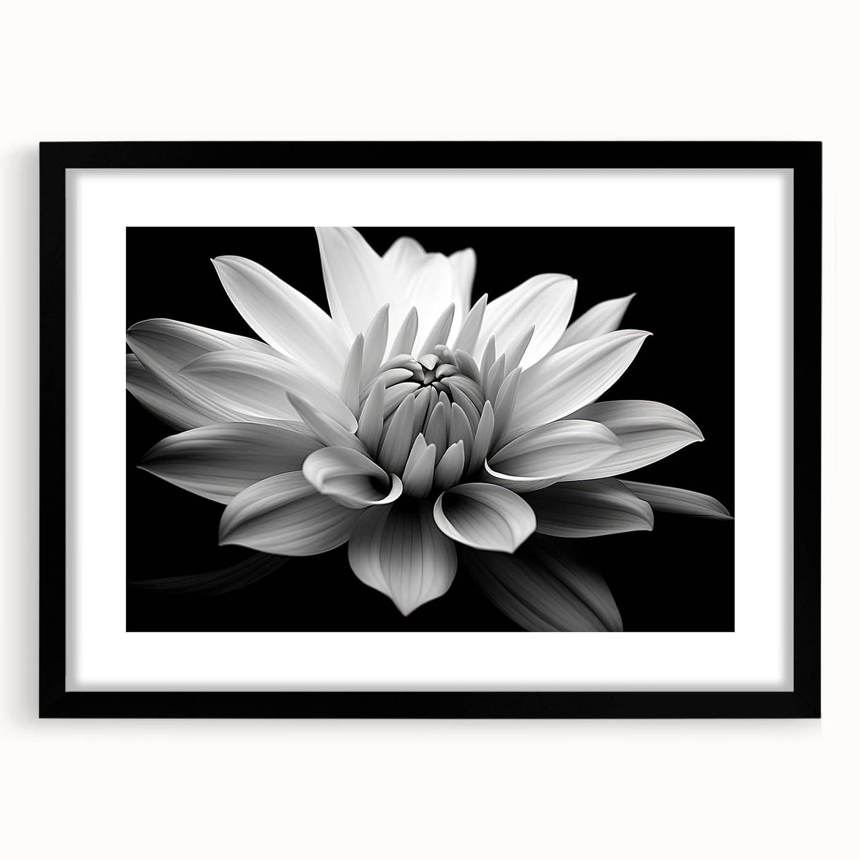 Botanical wall art featuring a delicate daisy design in a black frame with a mat, showcased from a front view, ideal for enhancing home decor and floral themes.
