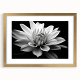 Botanical daisy design wall art collection featuring a framed piece with a gold matte finish, showcasing vibrant floral patterns ideal for home decor.
