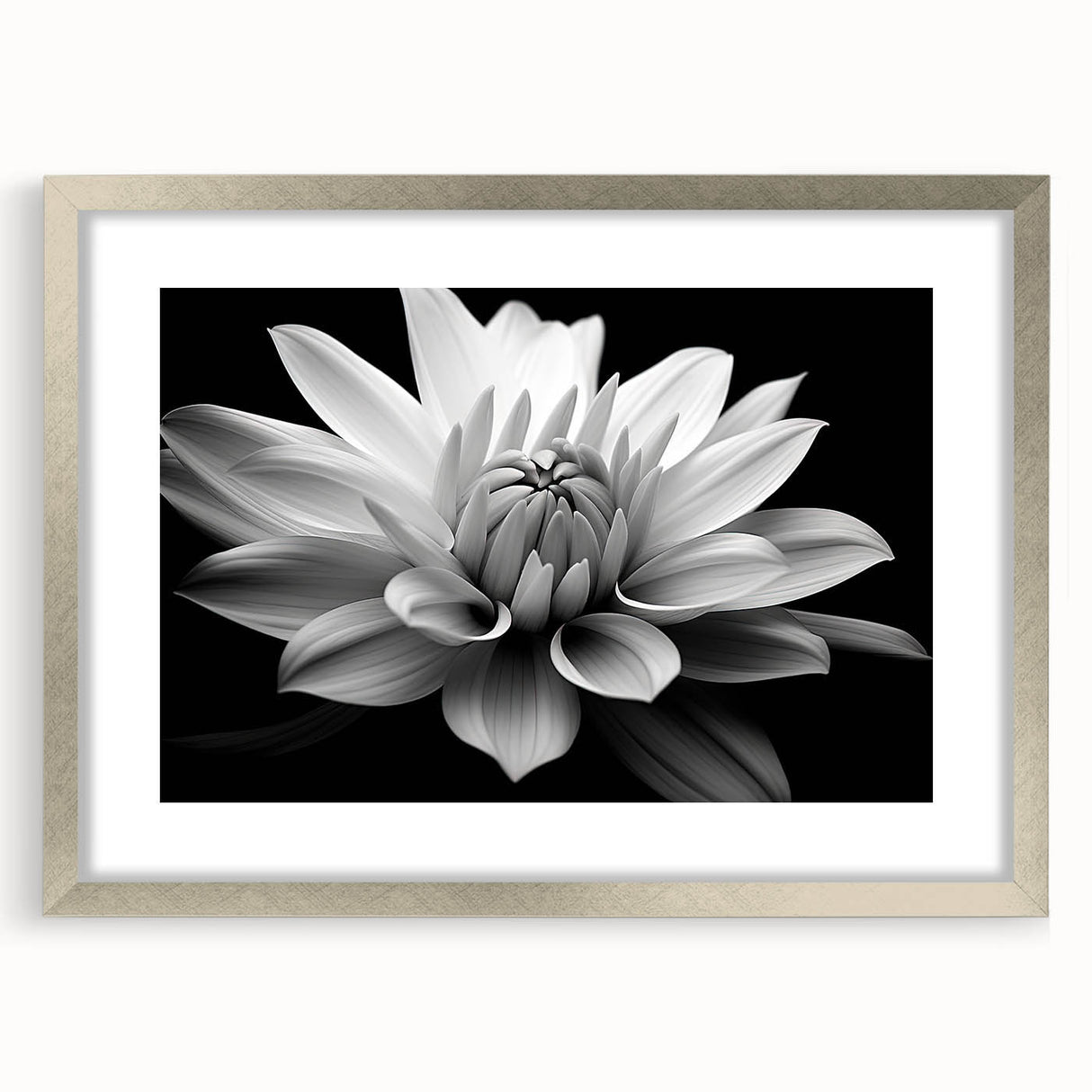 Framed botanical wall art featuring a daisy design with a silver mat, ideal for home decor. The artwork showcases vibrant floral details against a clean background, enhancing any space with its elegant aesthetic.