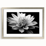 Framed botanical wall art featuring a daisy design with a silver mat, ideal for home decor. The artwork showcases vibrant floral details against a clean background, enhancing any space with its elegant aesthetic.