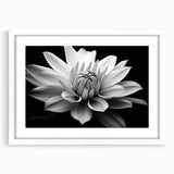 Framed botanical wall art featuring a delicate daisy design with a white mat, showcasing vibrant colors that enhance any home decor. Ideal for nature lovers.