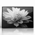 Framed wall art showcasing a botanical daisy design in vibrant colors, featuring a sleek black frame and acrylic glass, perfect for enhancing home decor.