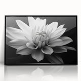 Framed wall art showcasing a botanical daisy design in vibrant colors, featuring a sleek black frame and acrylic glass, perfect for enhancing home decor.