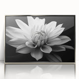 Framed botanical wall art collection showcasing a vibrant daisy design with intricate details, set in a sleek silver frame, ideal for enhancing modern decor.