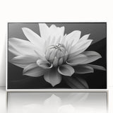 Framed acrylic wall art featuring a botanical daisy design in a white frame, showcasing vibrant floral details and a contemporary aesthetic, perfect for home decor.