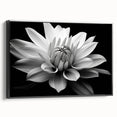 Framed botanical wall art showcasing a daisy design on a canvas with a black frame, emphasizing vibrant colors and intricate floral details, perfect for home decor.