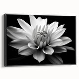 Framed botanical wall art showcasing a daisy design on a canvas with a black frame, emphasizing vibrant colors and intricate floral details, perfect for home decor.
