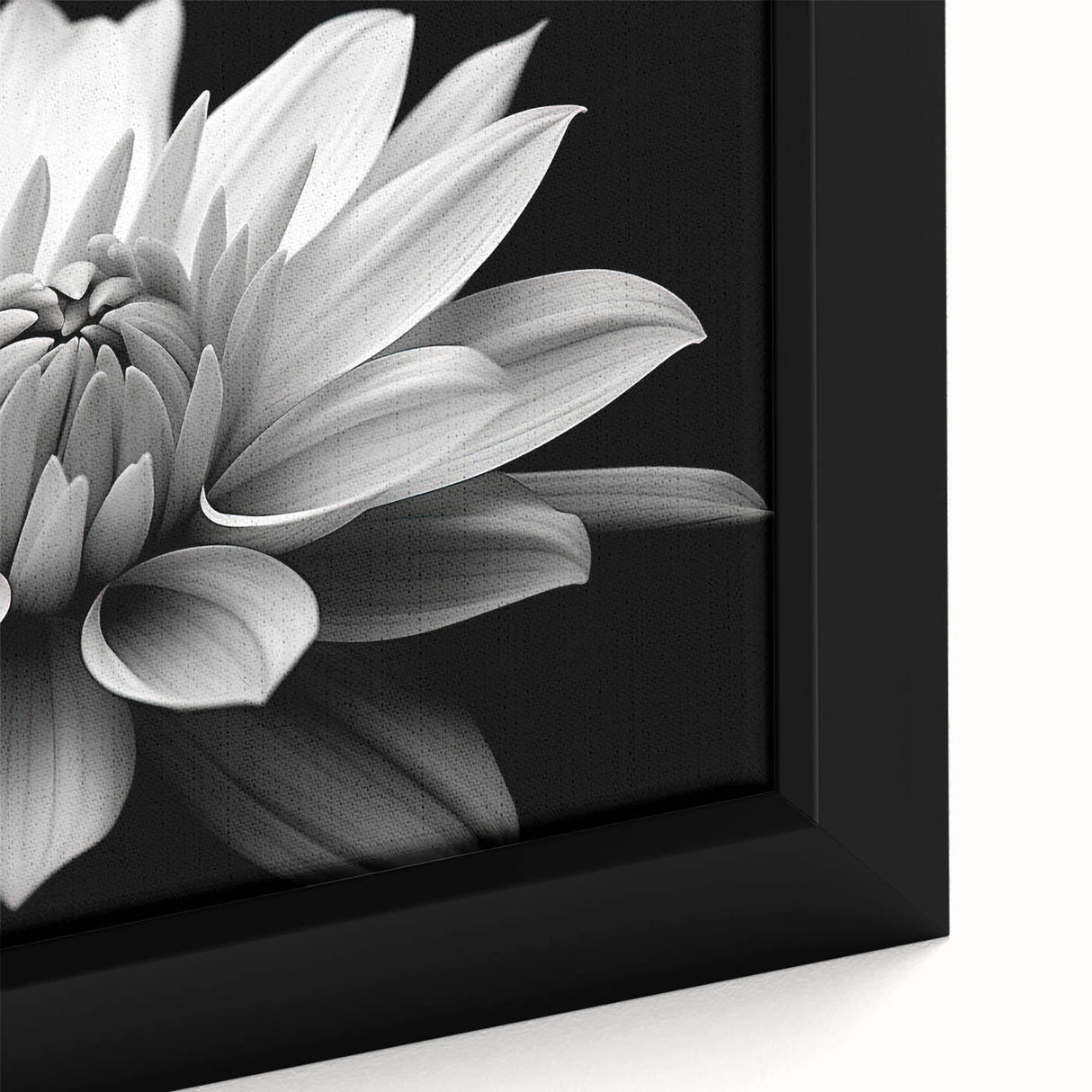 Close-up of a framed botanical daisy wall art piece, showcasing vibrant white daisies with detailed petals against a soft green background, perfect for home decor.