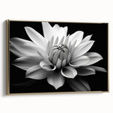 Framed canvas wall art showcasing a botanical daisy design with a gold frame, highlighting vibrant floral details and an elegant side view for stylish home decor.