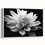 Framed canvas wall art showcasing a botanical daisy design, featuring vibrant white and green hues, ideal for enhancing modern home decor and aesthetics.