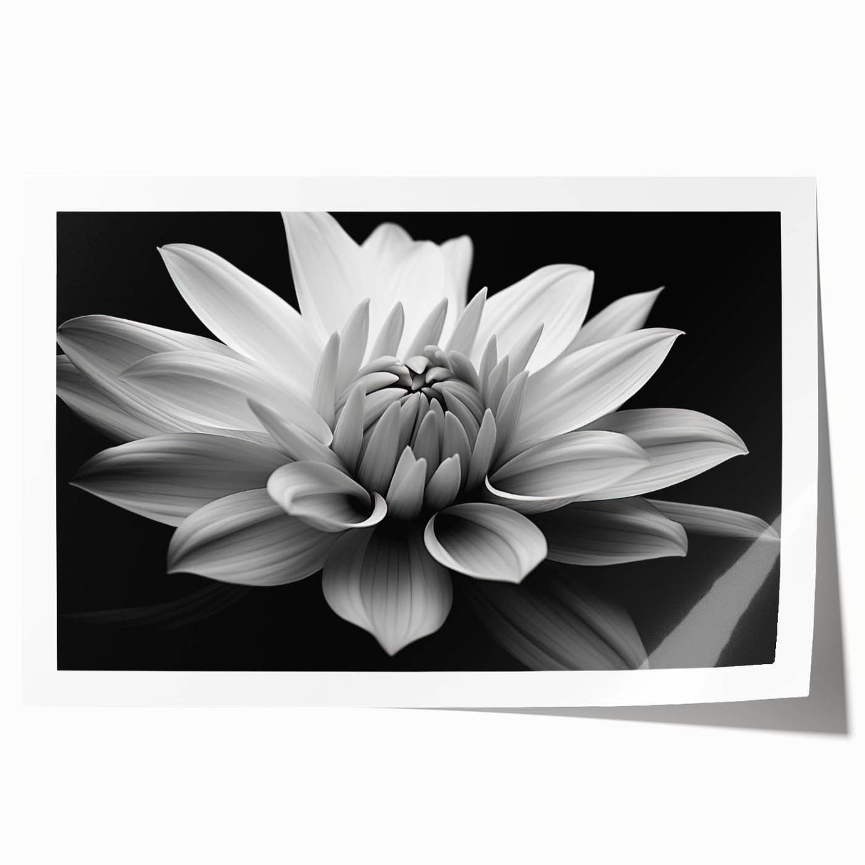 Botanical daisy wall art print showcasing vibrant yellow and white flowers against a soft green background, perfect for adding a touch of nature to home decor.