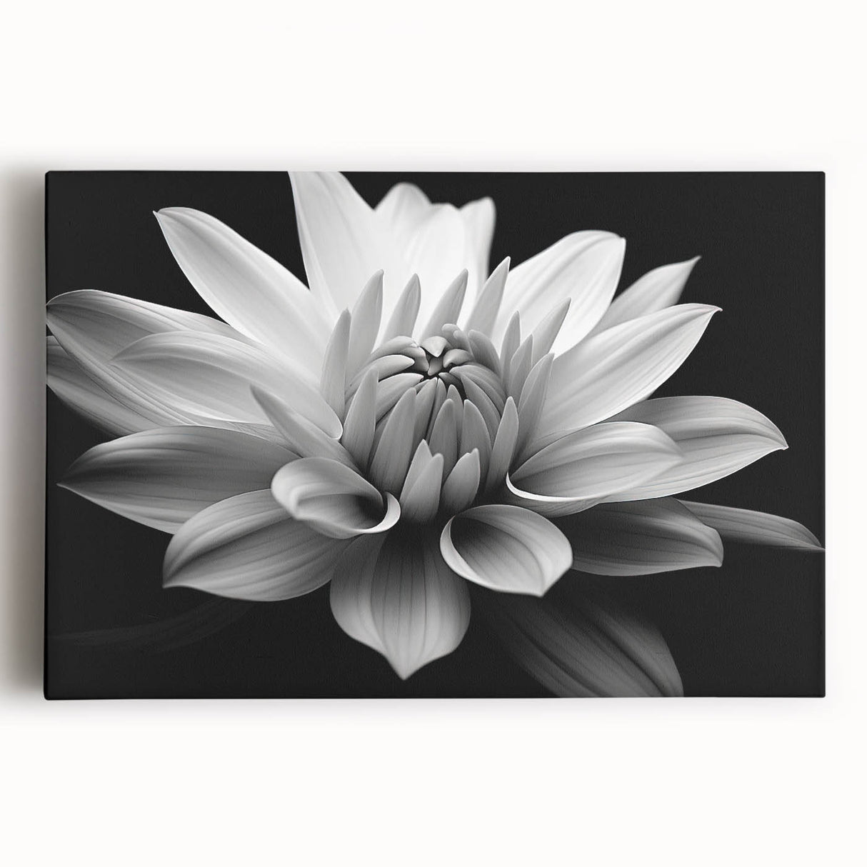 Stretched canvas wall art showcasing a vibrant botanical design of daisies with soft pastel colors, perfect for home decor and floral enthusiasts.