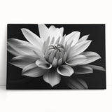 Vibrant botanical wall art featuring a delicate daisy design on stretched canvas, elegantly leaning against a neutral background, ideal for home decor.