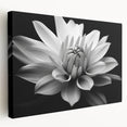 Stretched canvas wall art featuring a botanical daisy design in vibrant colors, showcasing intricate flower details and a side view perspective, perfect for floral decor enthusiasts.