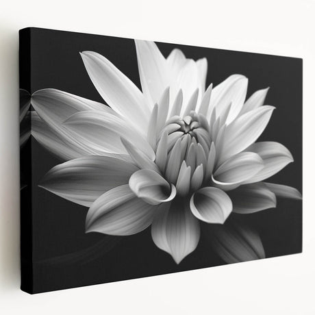 Stretched canvas wall art featuring a botanical daisy design in vibrant colors, showcasing intricate flower details and a side view perspective, perfect for floral decor enthusiasts.