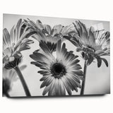 Acrylic glass wall art collection showcasing a delicate botanical daisy design, featuring vibrant colors and a contemporary side view, perfect for home decor.