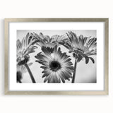 Framed botanical wall art featuring a delicate daisy design with a silver frame and mat, perfect for home decor enthusiasts seeking floral elegance.