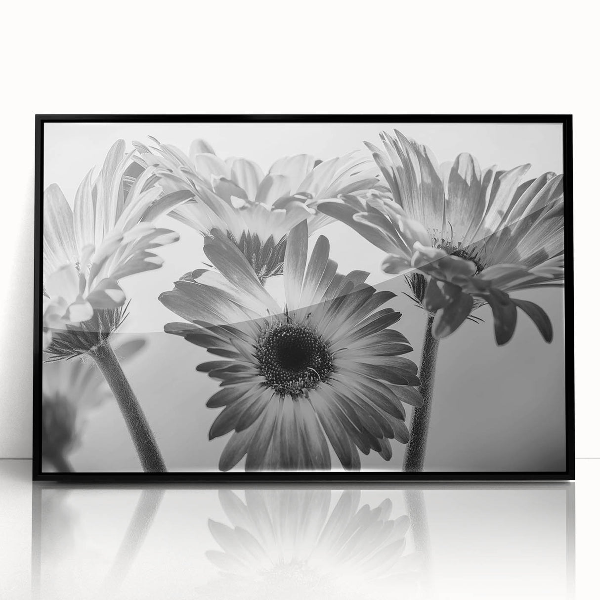 Framed black acrylic wall art showcasing a botanical daisy design, featuring vibrant yellow and white flowers against a sleek black background, perfect for modern home decor.