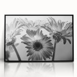 Framed black acrylic wall art showcasing a botanical daisy design, featuring vibrant yellow and white flowers against a sleek black background, perfect for modern home decor.