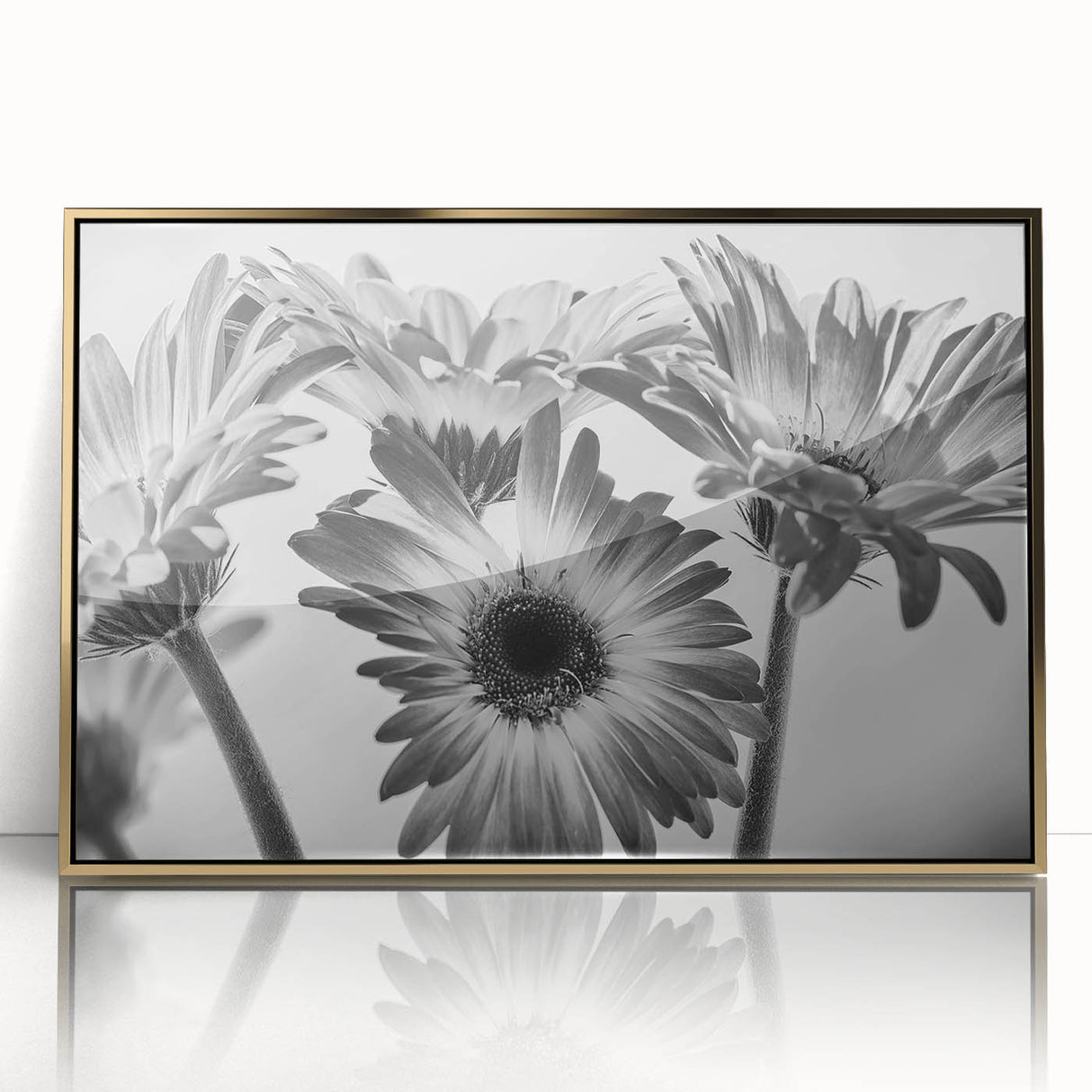 Framed wall art showcasing a botanical daisy design in vibrant colors with a gold-acrylic finish, perfect for adding elegance to any home decor.