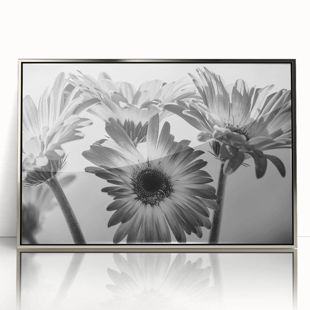 Framed wall art featuring a botanical daisy design in vibrant colors, set in a sleek silver frame. Ideal for enhancing modern home decor with floral elegance.