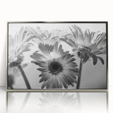 Framed wall art featuring a botanical daisy design in vibrant colors, set in a sleek silver frame. Ideal for enhancing modern home decor with floral elegance.