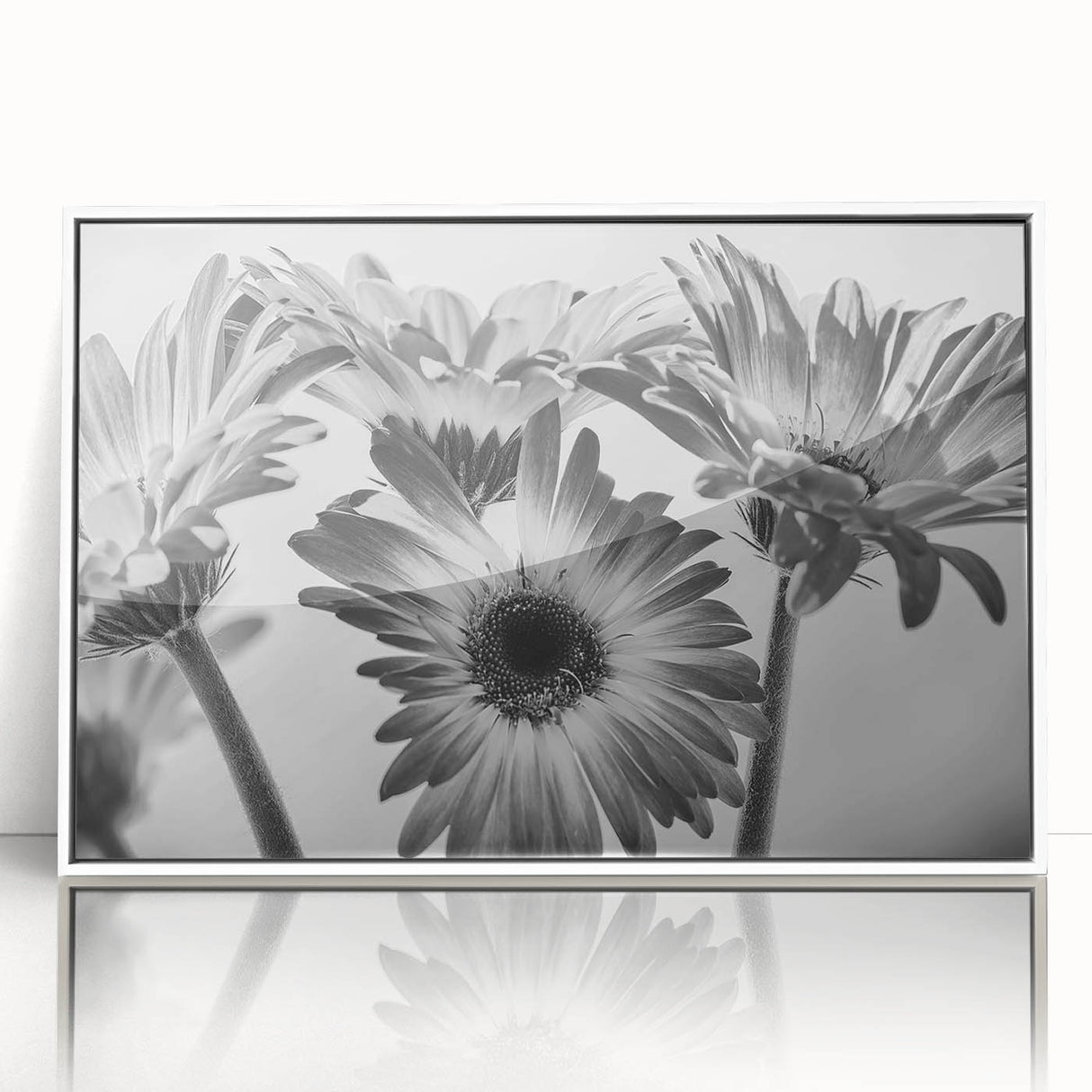 Framed wall art featuring a botanical daisy design in vibrant colors, elegantly displayed in a white frame, perfect for home decor and floral-themed interiors.