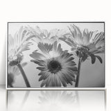 Framed wall art featuring a botanical daisy design in vibrant colors, elegantly displayed in a white frame, perfect for home decor and floral-themed interiors.