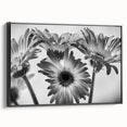 Framed black wall art featuring an intricate botanical daisy design on canvas, showcasing vibrant floral patterns and textures for modern decor.