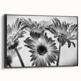 Framed black wall art featuring an intricate botanical daisy design on canvas, showcasing vibrant floral patterns and textures for modern decor.