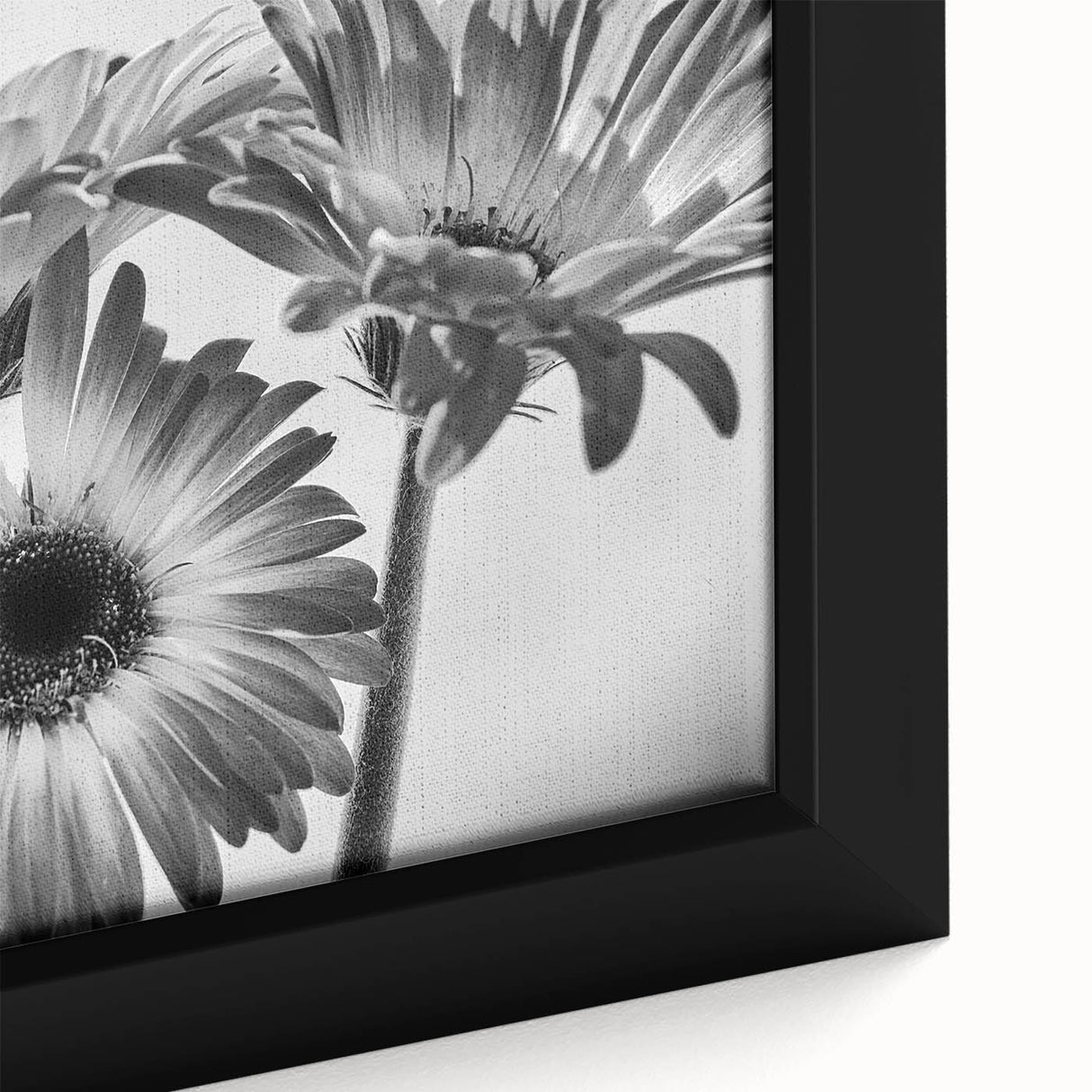 Close-up of a framed canvas wall art featuring a botanical daisy design, showcasing vibrant colors and intricate details, ideal for home decor enhancement.