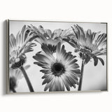 Framed wall art showcasing a botanical daisy design on canvas, featuring a silver frame, ideal for adding a touch of elegance to home decor. Perfect for nature lovers.