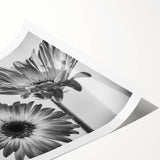 Botanical wall art print showcasing a vibrant daisy design in soft pastel colors, rolled for easy display and shipping, perfect for home decor enthusiasts.