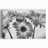 Colorful botanical daisy wall art design on stretched canvas, showcasing intricate floral patterns against a white background, ideal for home decor.