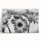 Stretched canvas wall art depicting a vibrant botanical daisy design in hues of yellow and white, elegantly leaning against a neutral background, perfect for home decor.