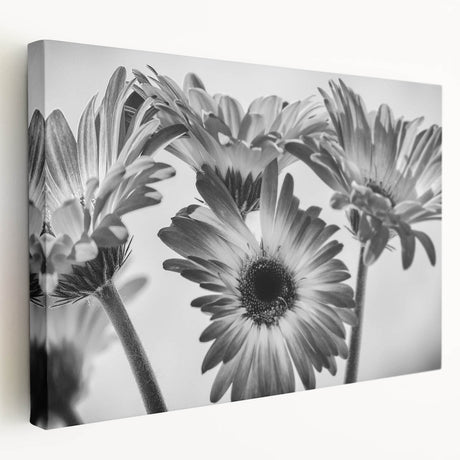 Stretched canvas wall art showcasing a botanical daisy design with vibrant colors and intricate details, ideal for enhancing home decor in a living room or office.