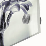 Close-up of a botanical wall art design featuring vibrant daisies on acrylic glass, showcasing intricate details and bright colors, ideal for home decor.