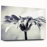 Acrylic glass wall art featuring a botanical daisy design, showcasing vibrant yellow and white flowers against a transparent background, ideal for home decor.