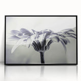 Framed wall art showcasing a botanical daisy design in vibrant colors, featuring a sleek black frame. Ideal for enhancing home decor with a touch of nature.