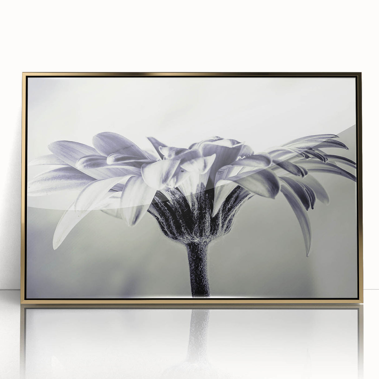 Framed botanical wall art featuring a vibrant daisy design with a gold-acrylic finish, perfect for adding a touch of nature-inspired elegance to any interior decor.