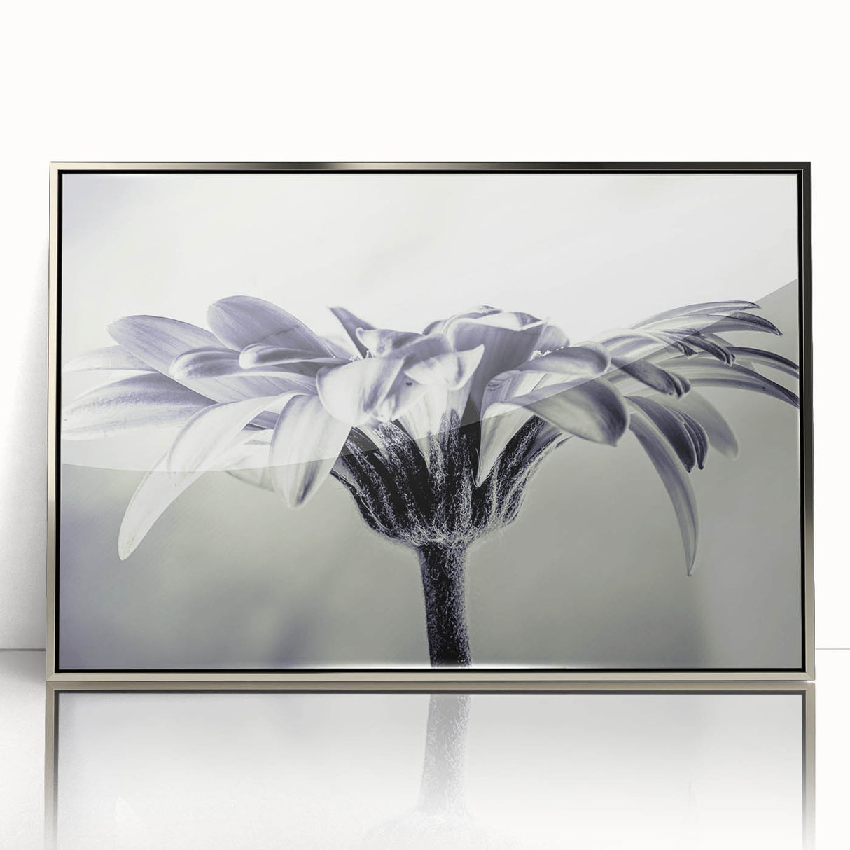 Framed wall art featuring a botanical daisy design, showcasing vibrant white flowers with green leaves, elegantly displayed in a sleek silver frame. Ideal for home decor.