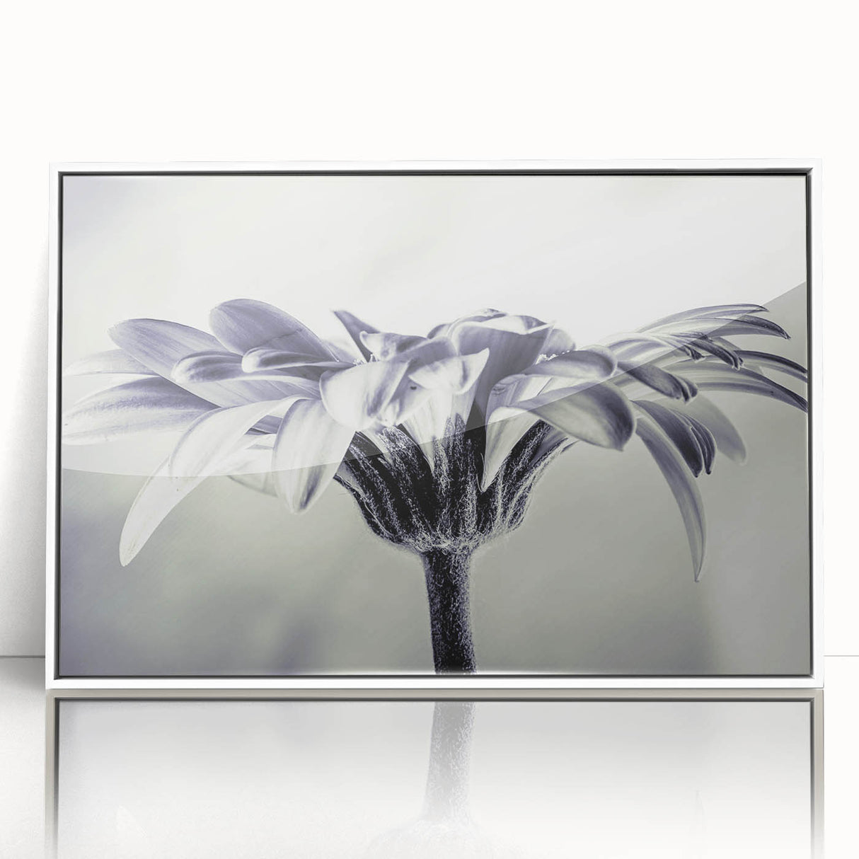 Framed wall art showcasing a vibrant botanical daisy design with intricate details, set in a sleek white frame. Perfect for brightening home decor.