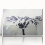 Framed wall art showcasing a vibrant botanical daisy design with intricate details, set in a sleek white frame. Perfect for brightening home decor.