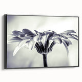 Framed canvas wall art showcasing a botanical daisy design in vibrant colors, featuring a sleek black frame and a side view that highlights its elegant profile, perfect for home decor.