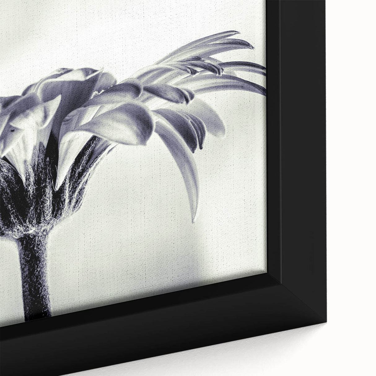 Framed close-up of botanical wall art showcasing vibrant daisies on canvas, highlighting intricate petal details and rich colors, perfect for home decor.